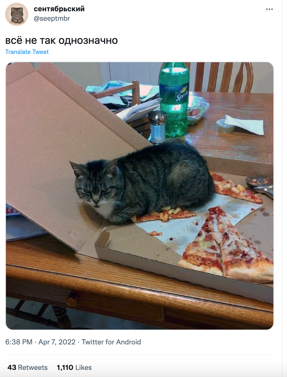 Russian Denials Inspire Pet Meme Russian Life